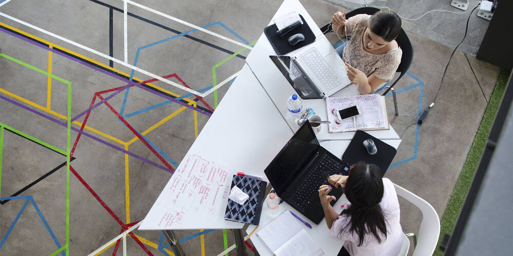 Comunidad y networking