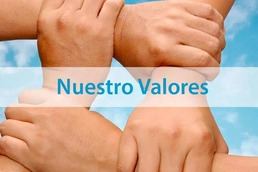Valores pmxpro